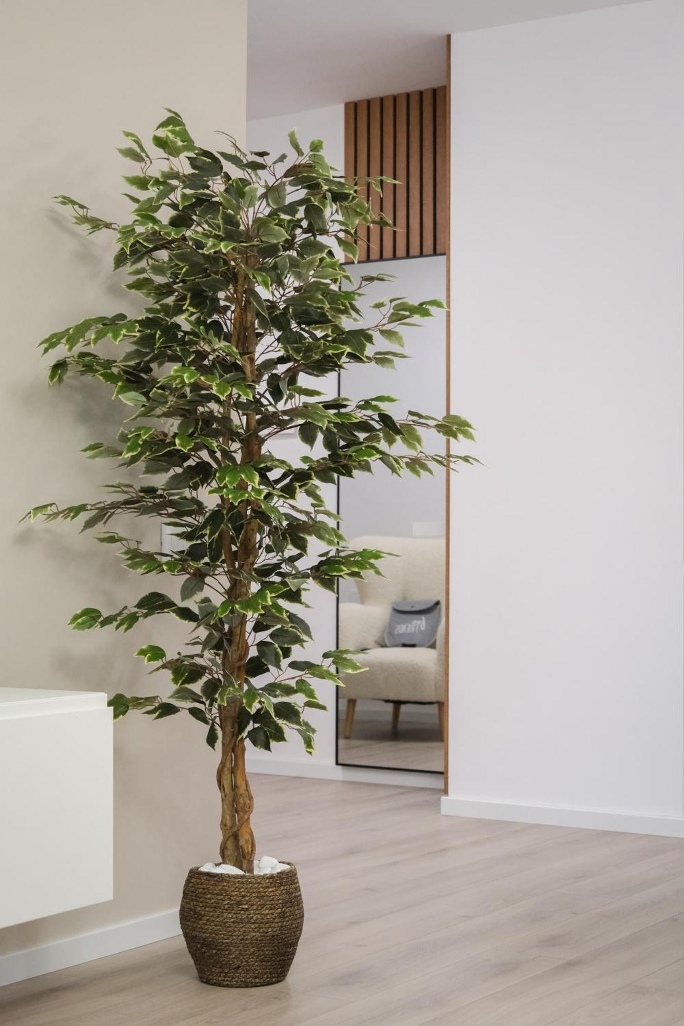 Modern 2-room Apartment, Free Underground Parking *